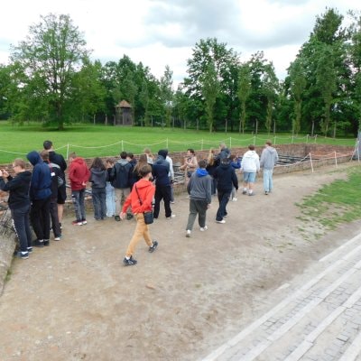 image-2385